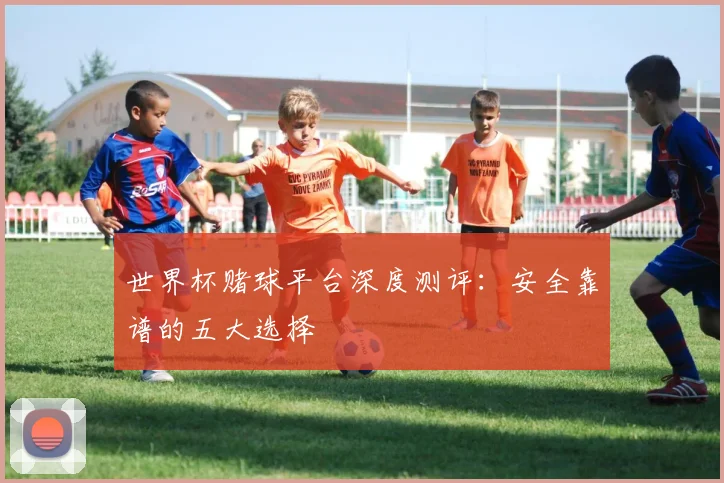 世界杯赌球平台深度测评:安全靠谱的五大选择