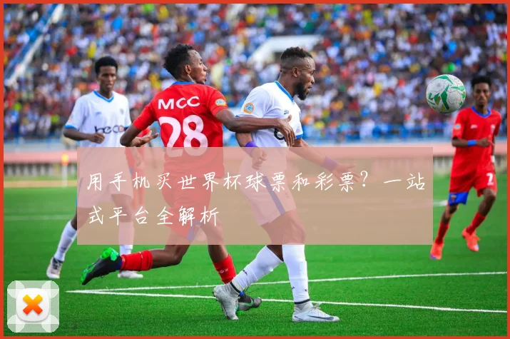 用手机买世界杯球票和彩票？一站式平台全解析