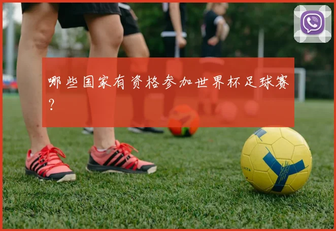 哪些国家有资格参加世界杯足球赛？