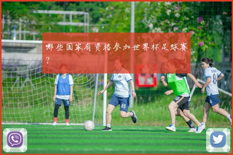 哪些国家有资格参加世界杯足球赛？